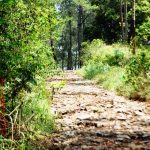 OUTBOUND TRAINING LEMBANG BANDUNG-AMAZING OF JOURNEY