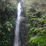 OUTBOUND TRAINING LEMBANG BANDUNG-AMAZING OF JOURNEY