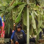 OUTBOUND TRAINING LEMBANG BANDUNG-AMAZING OF JOURNEY
