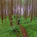 OUTBOUND TRAINING LEMBANG BANDUNG-AMAZING OF JOURNEY